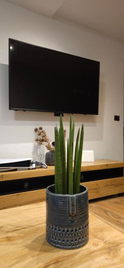 Betty Apartments Borik - Whole Ground Floor Rovinj Zewnętrze zdjęcie